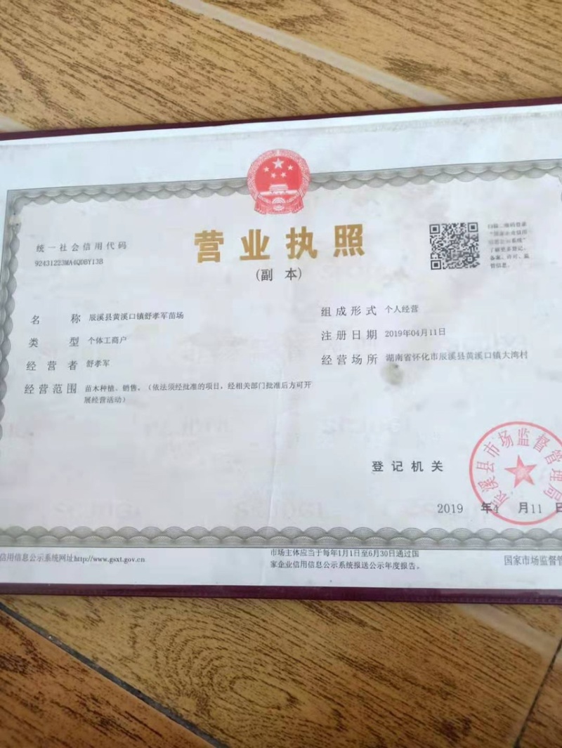 【放心苗】黄金贡柚苗，辰溪贡柚苗，货源充足，量大从优