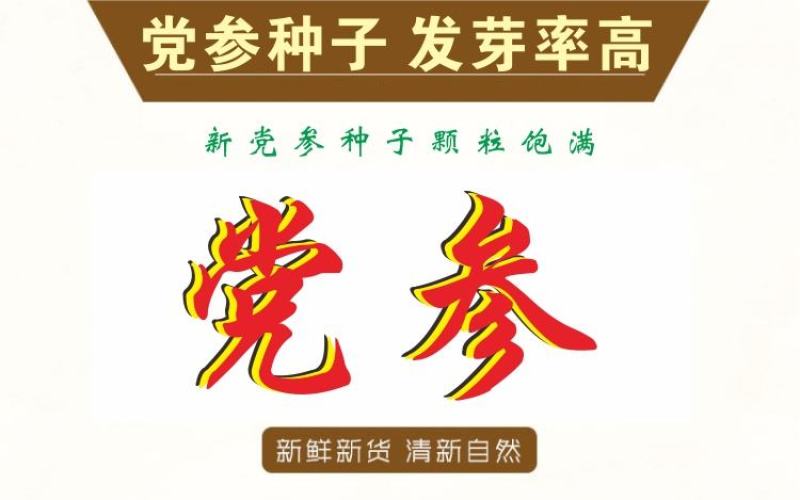 甘肃党参种子发芽率高纯新党参种子颗粒饱满干净产地批发