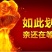 甘肃党参种子发芽率高纯新党参种子颗粒饱满干净产地批发