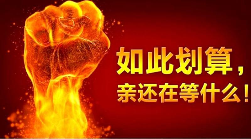 甘肃党参种子发芽率高纯新党参种子颗粒饱满干净产地批发