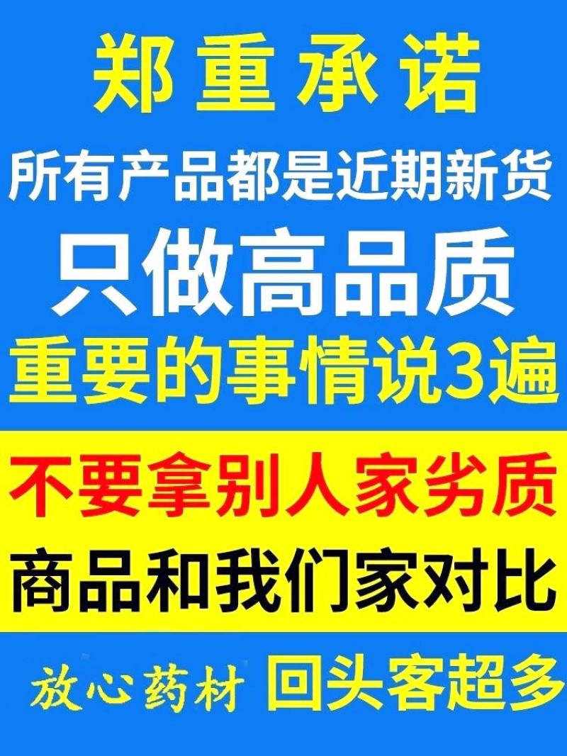 甘肃党参种子发芽率高纯新党参种子颗粒饱满干净产地批发