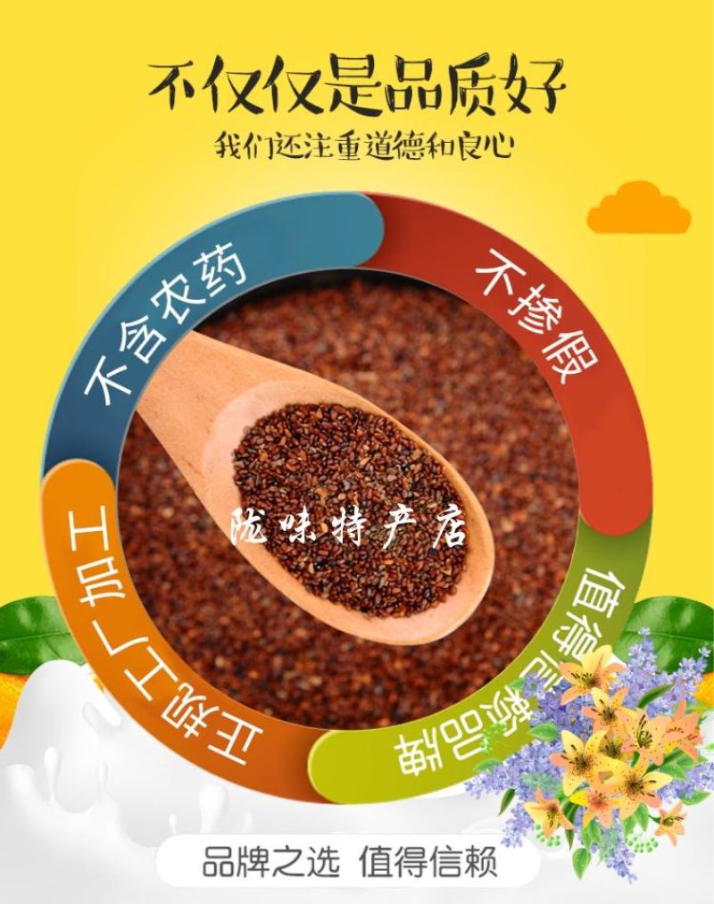 甘肃党参种子发芽率高纯新党参种子颗粒饱满干净产地批发