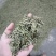 大量批发蒙顶山绿茶，高中低