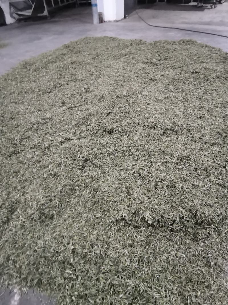 大量批发蒙顶山绿茶，高中低