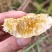 大瑶山野生石崖蜂蜜树洞蜂蜜(百花冬蜜)纯正野生蜜糖