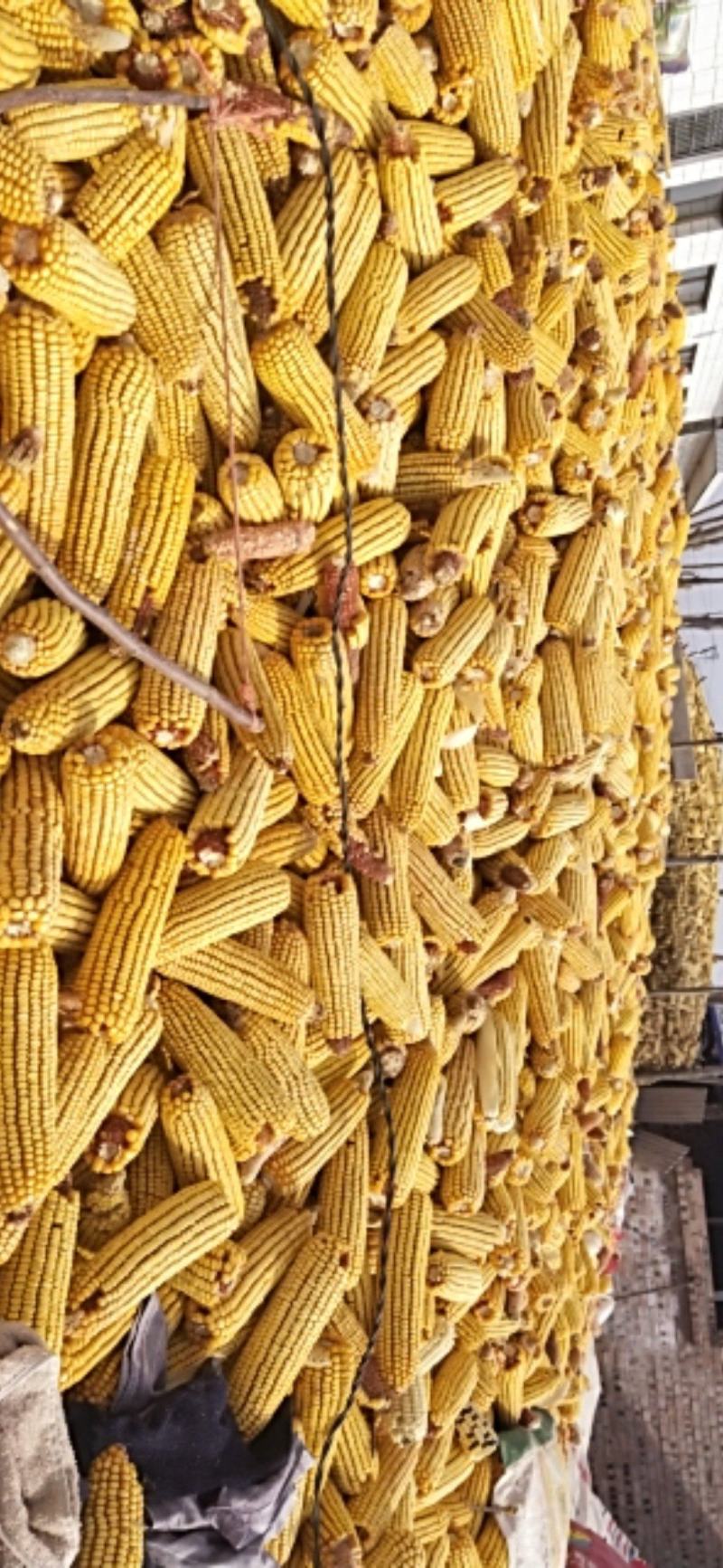 干玉米粒，玉米粒，，量大从优