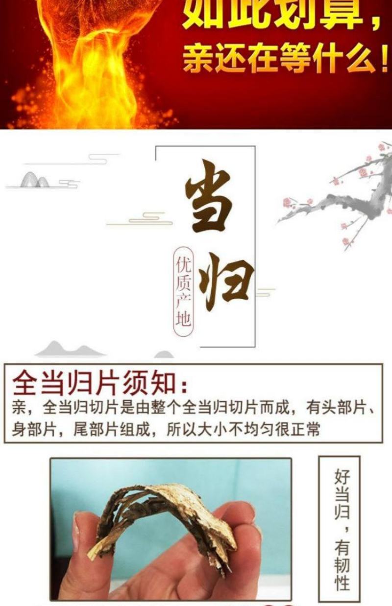 甘肃岷县全当归片批发中药当归片味浓切片大