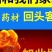 甘肃岷县全当归片批发中药当归片味浓切片大