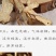 甘肃岷县全当归片批发中药当归片味浓切片大