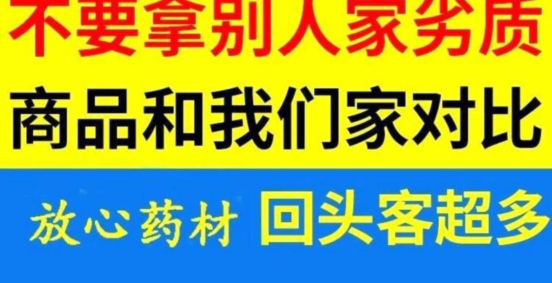 甘肃红芪种子500g克包邮发芽率高新种籽产地发货