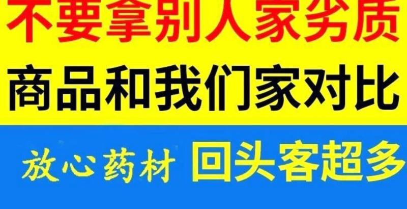 黄芪种子纯新铁杆黄芪籽棉秆黄芪子干净包发芽率500g包邮