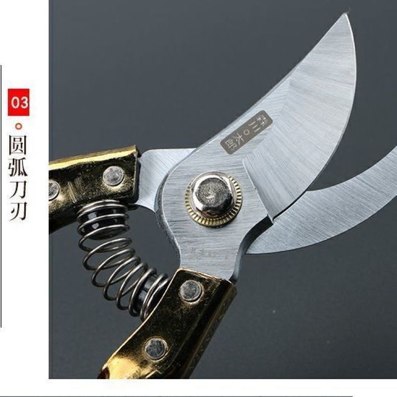日本爱丽斯ARS130DX修枝剪园艺工具剪花剪枝剪树剪刀