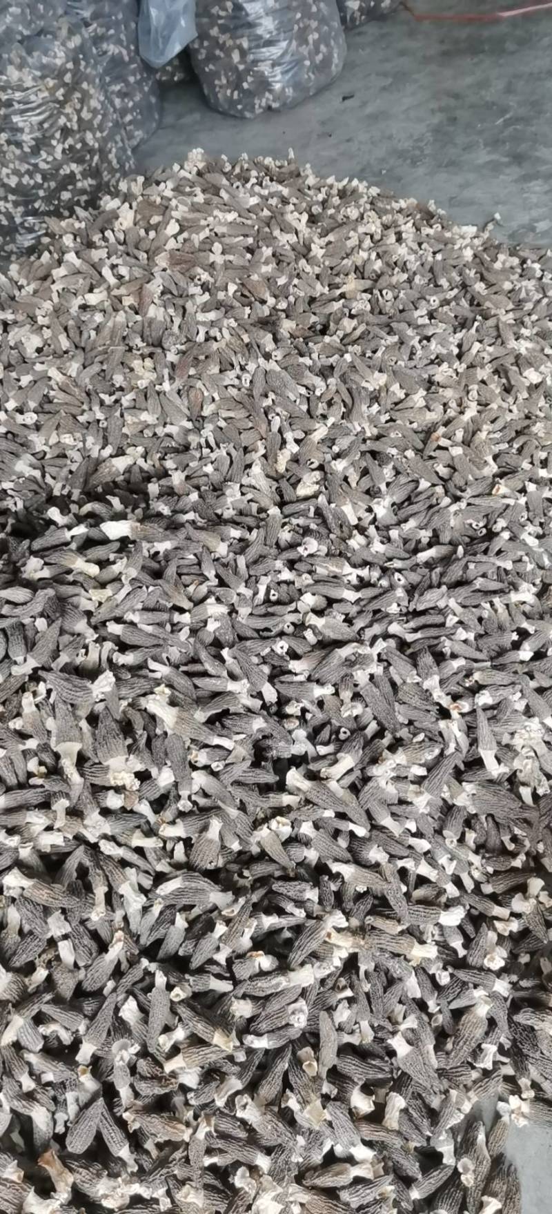羊肚菌干品，鲜品需要的联系