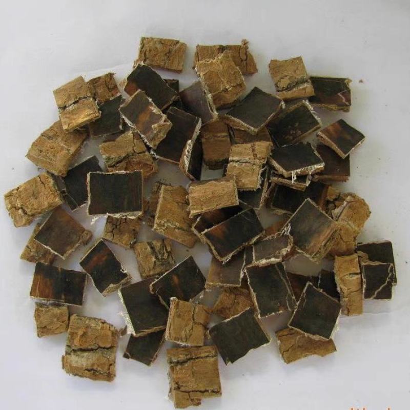 新采杜仲种子丝棉皮棉树皮胶树中药材树种子丝棉皮