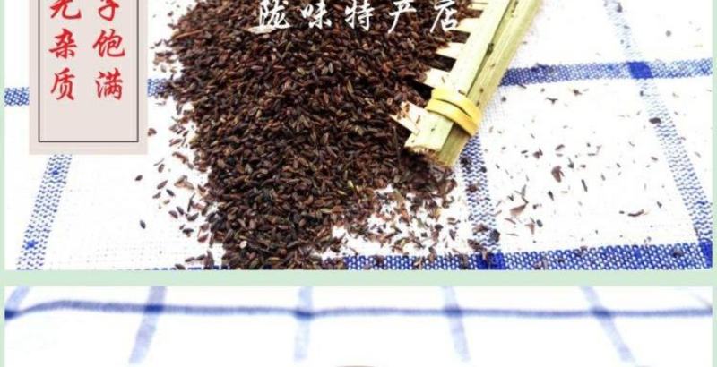 柴胡种子500g包邮中药材2021年新北柴胡种籽优质无杂