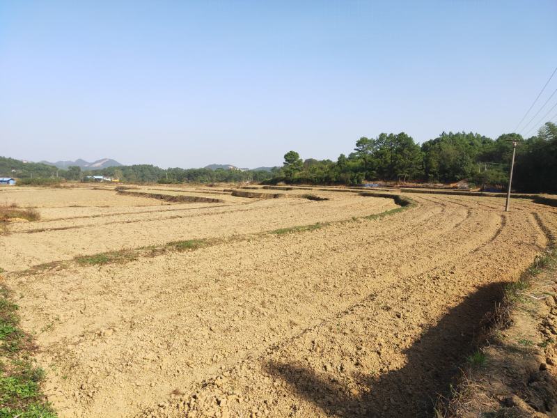 湖南长沙宁乡70亩土地转让，交通方便水方便