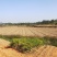 湖南长沙宁乡70亩土地转让，交通方便水方便