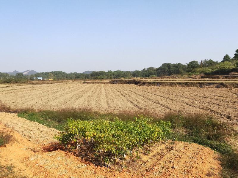 湖南长沙宁乡70亩土地转让，交通方便水方便
