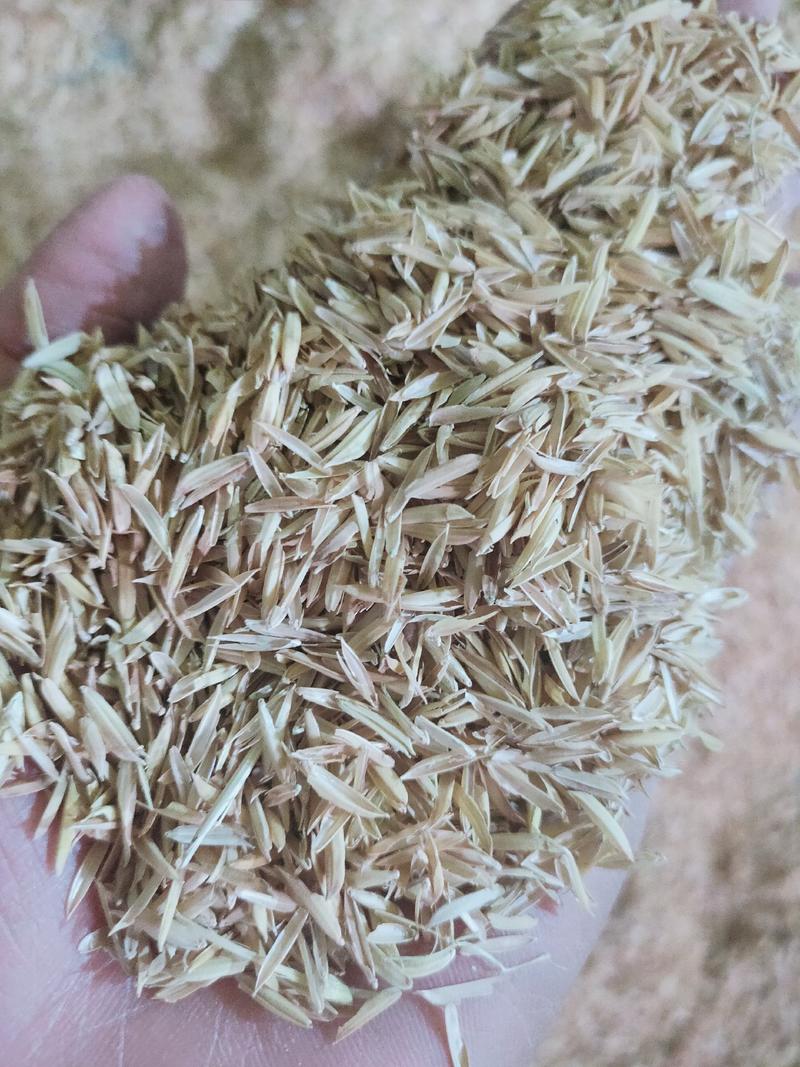 稻壳谷壳桂林市厂家直销新鲜除尘谷壳日产80吨。