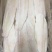 巴沙鱼柳8成9成纯干各种规格齐全