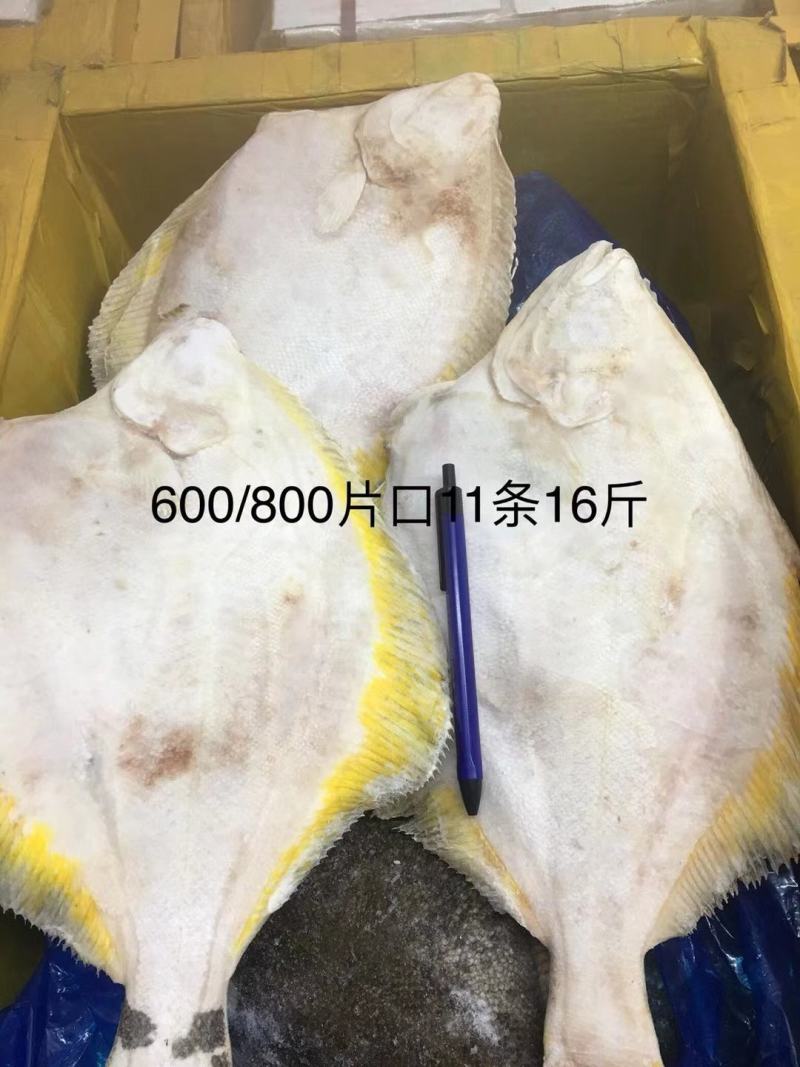 单冻偏口各种型号保质保量