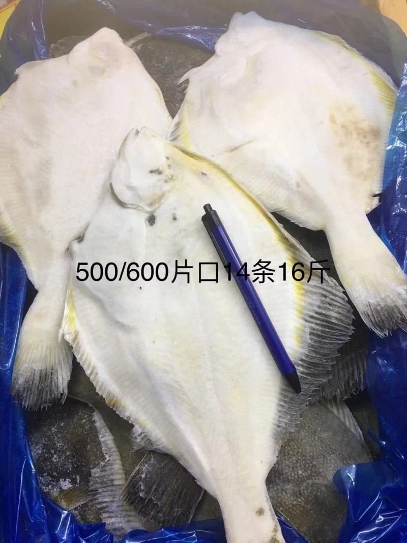 单冻偏口各种型号保质保量