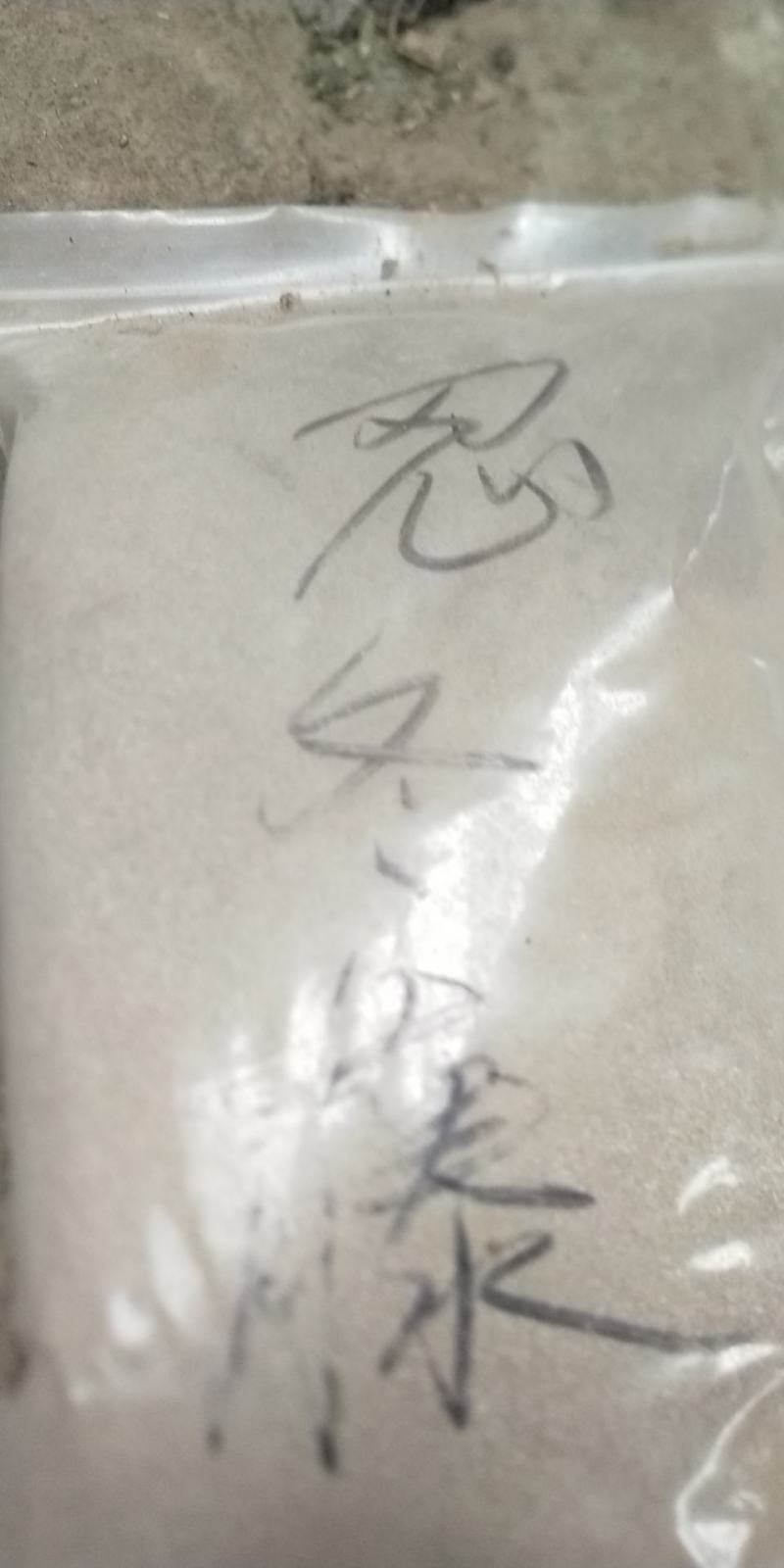 【优选商家】辣蓼草粉辣蓼草片个子产地直发量大从优