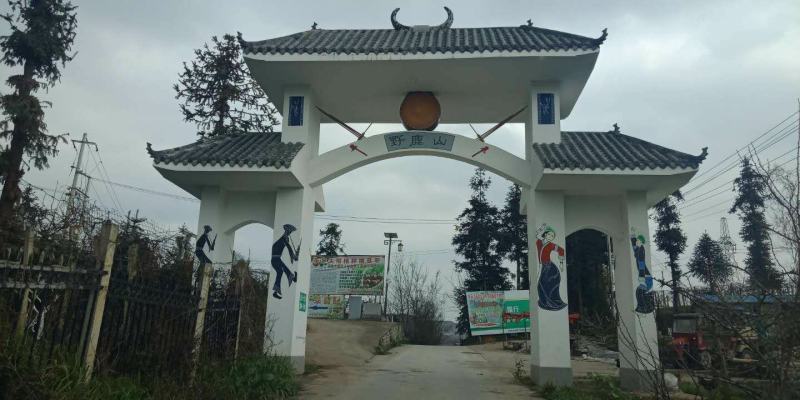 转让24年大樱桃（车厘子）美国大红袍李子48000每年