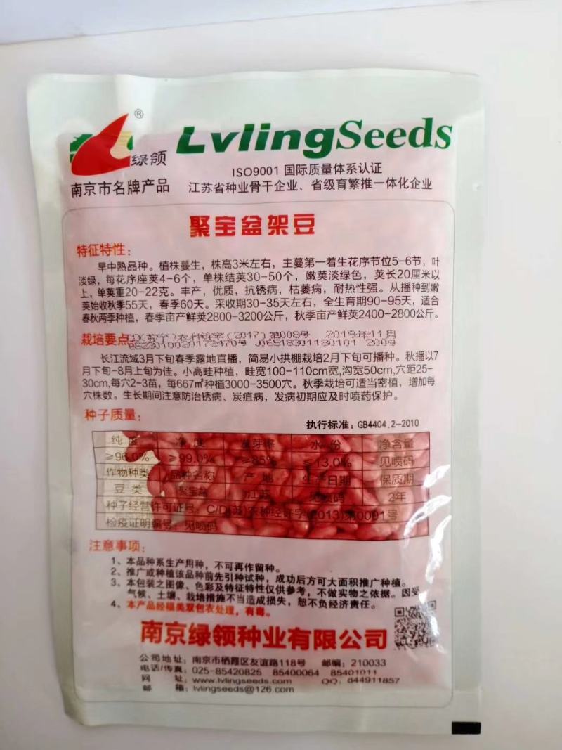 金豆芸种子小金豆种子种种子高产品种种品种