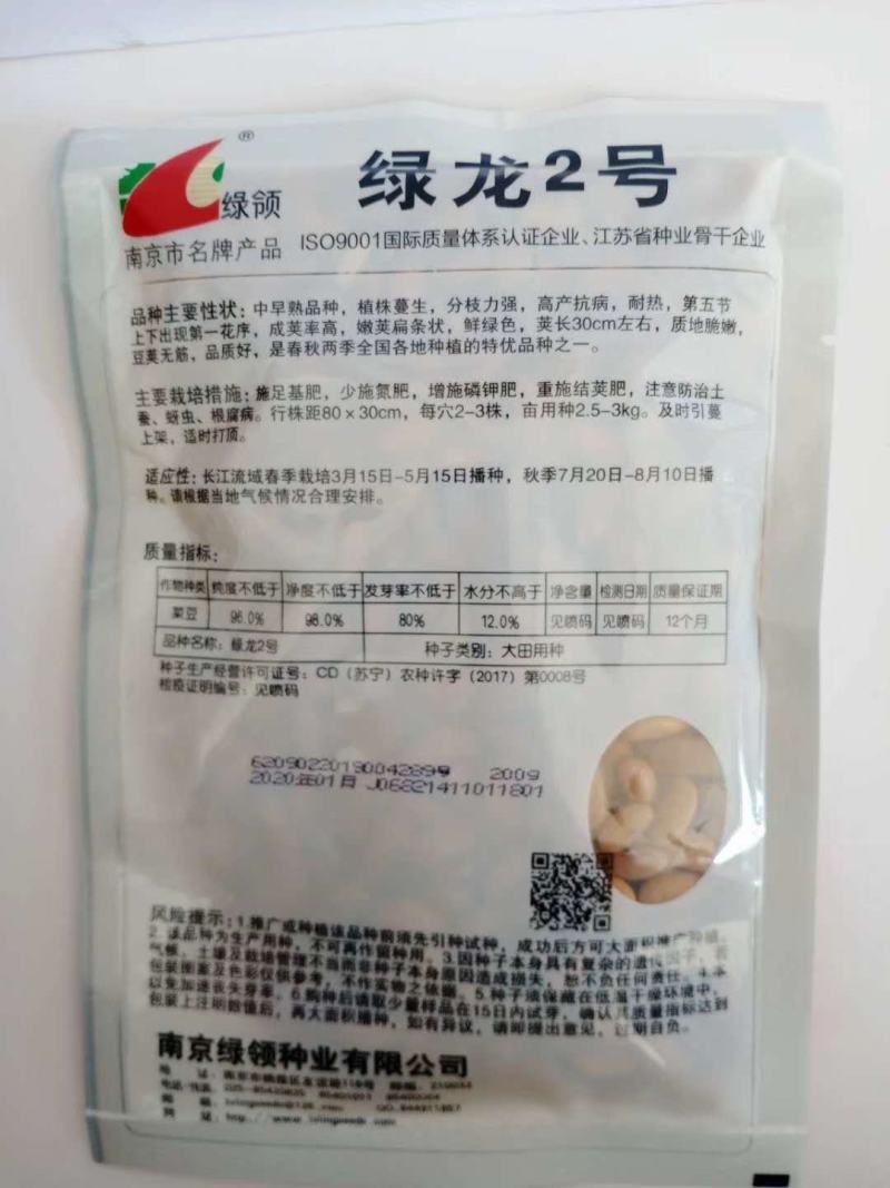 金豆芸种子小金豆种子种种子高产品种种品种