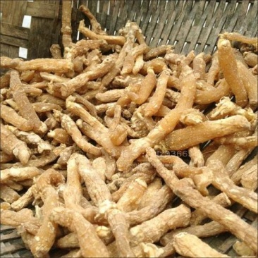 玉竹，玉竹条统货质量保证，经营各种中药材欢迎咨询合作！