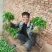 【推荐】优质辣椒苗，大量供应，基地直供，