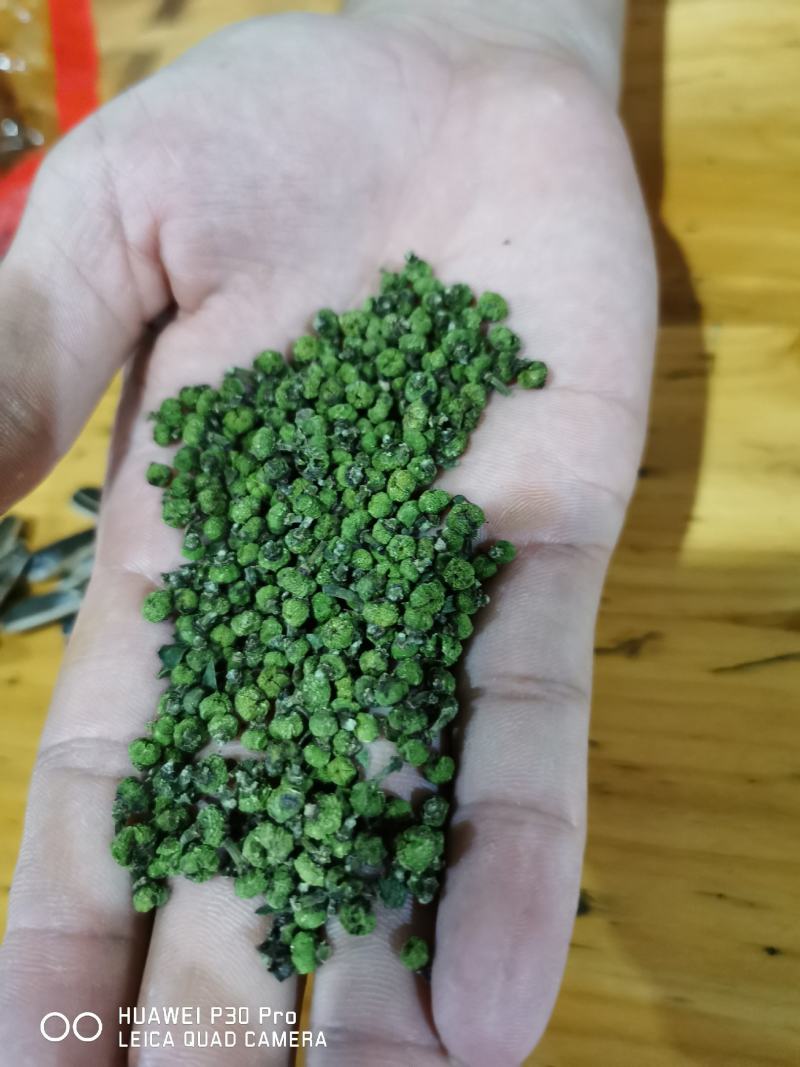 高含量江西中花吴茱萸大苗