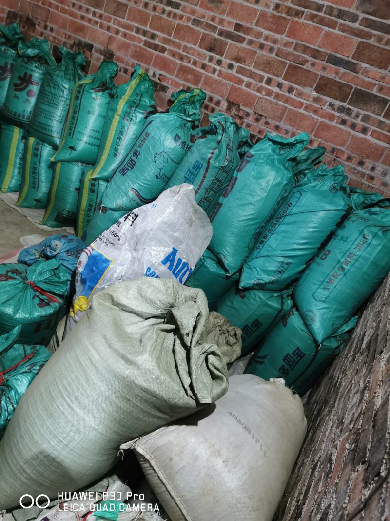 高含量江西中花吴茱萸大苗