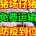 三元仔猪，猪场小猪，猪苗，防疫到位，送到家全国发货