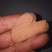 海虾粉不掺假腥香饵料饵料原料添加饲料添加剂纯正