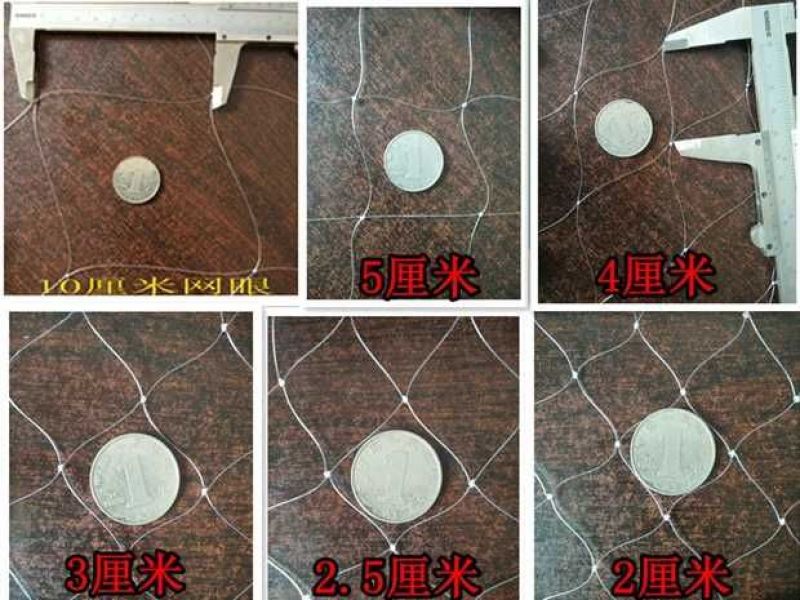厂家直销果园防鸟网鱼塘樱桃天网机场防护网葡萄网