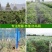 厂家直销果园防鸟网鱼塘樱桃天网机场防护网葡萄网