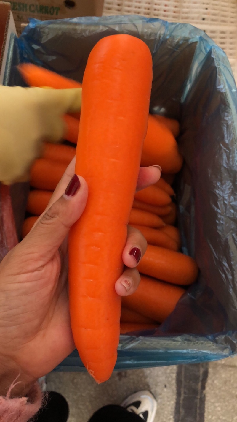 泥土胡萝卜🥕大量对接平台货源稳定日供量3挂车、支持包地