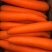 泥土胡萝卜🥕大量对接平台货源稳定日供量3挂车、支持包地