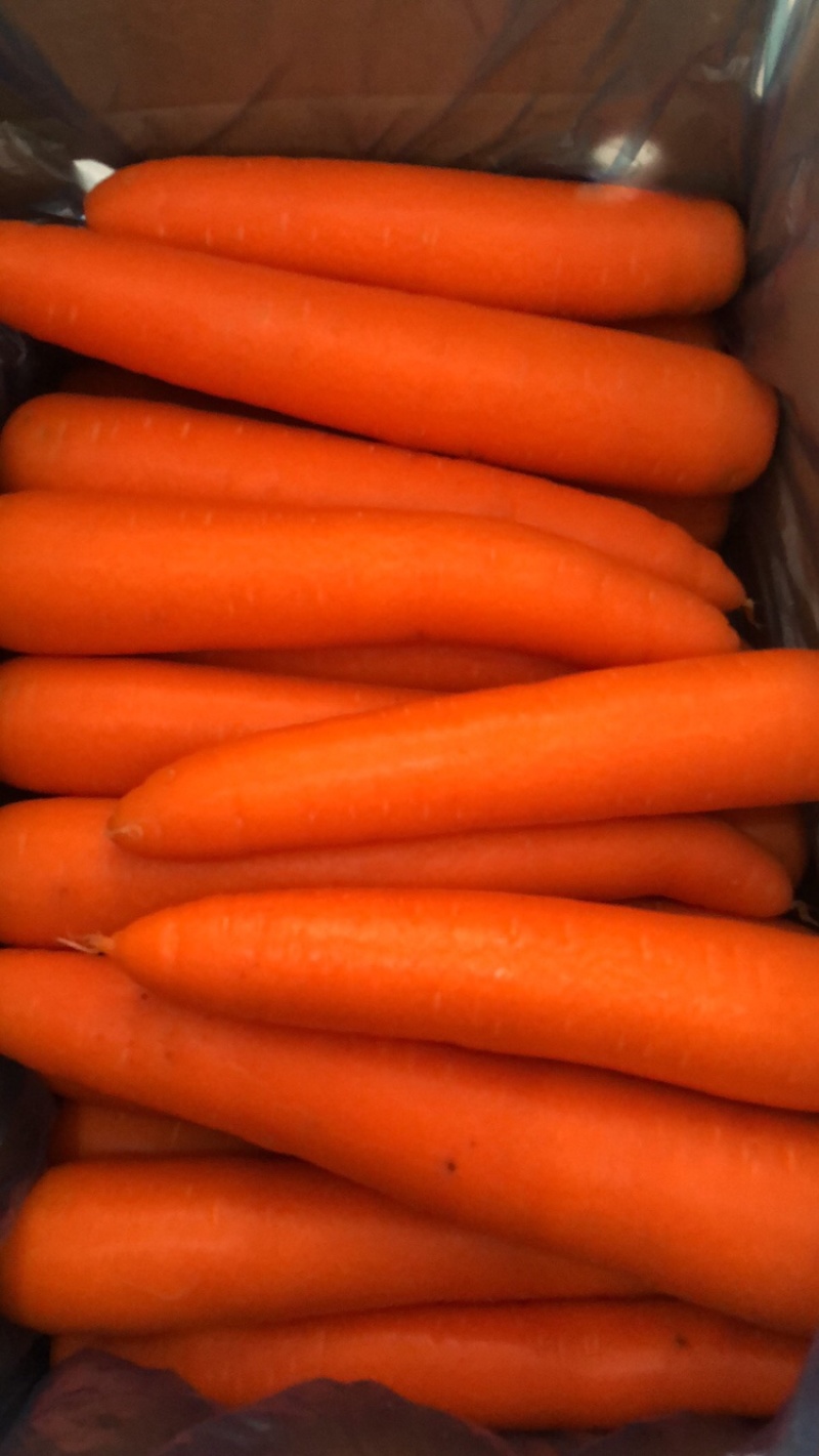泥土胡萝卜🥕大量对接平台货源稳定日供量3挂车、支持包地