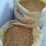 玉米玉米粒自家种植的粮食质优价廉，现已大量上市