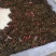 吴茱萸育苗专用枝条茱萸