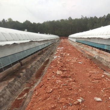 江西于都养鸡厂出租，稳定养植，利润可观，欢迎洽谈