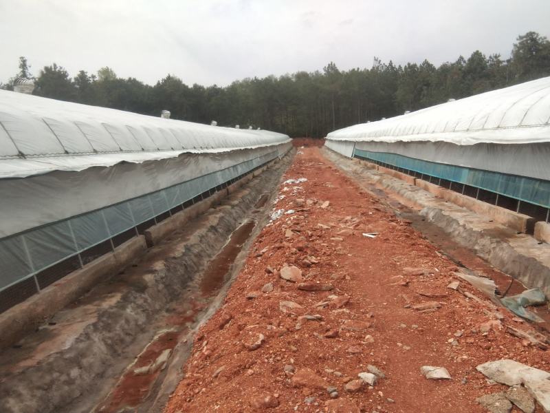 江西于都养鸡厂出租，稳定养植，利润可观，欢迎洽谈