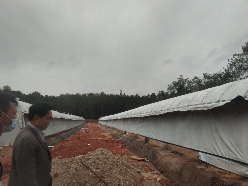 江西于都养鸡厂出租，稳定养植，利润可观，欢迎洽谈