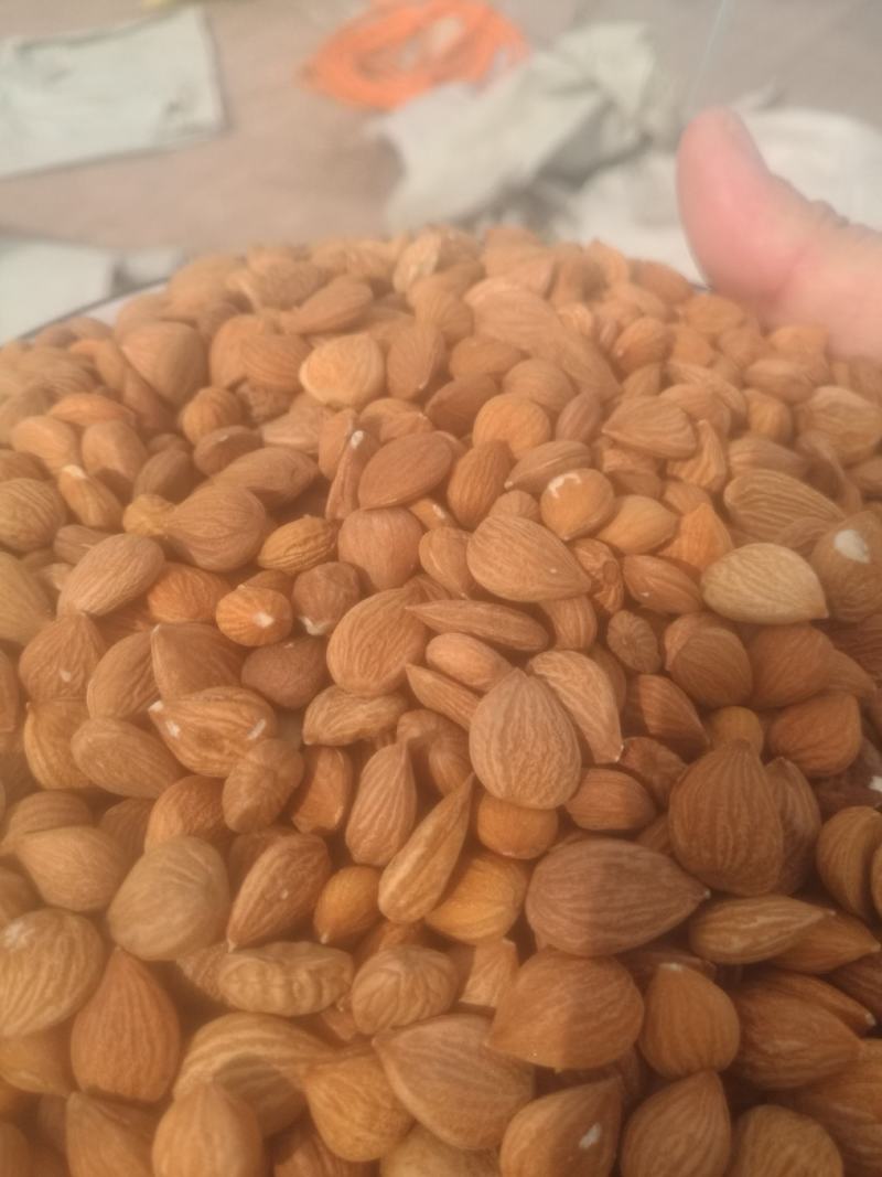 苦杏仁陕北地产颗粒饱满含量达标