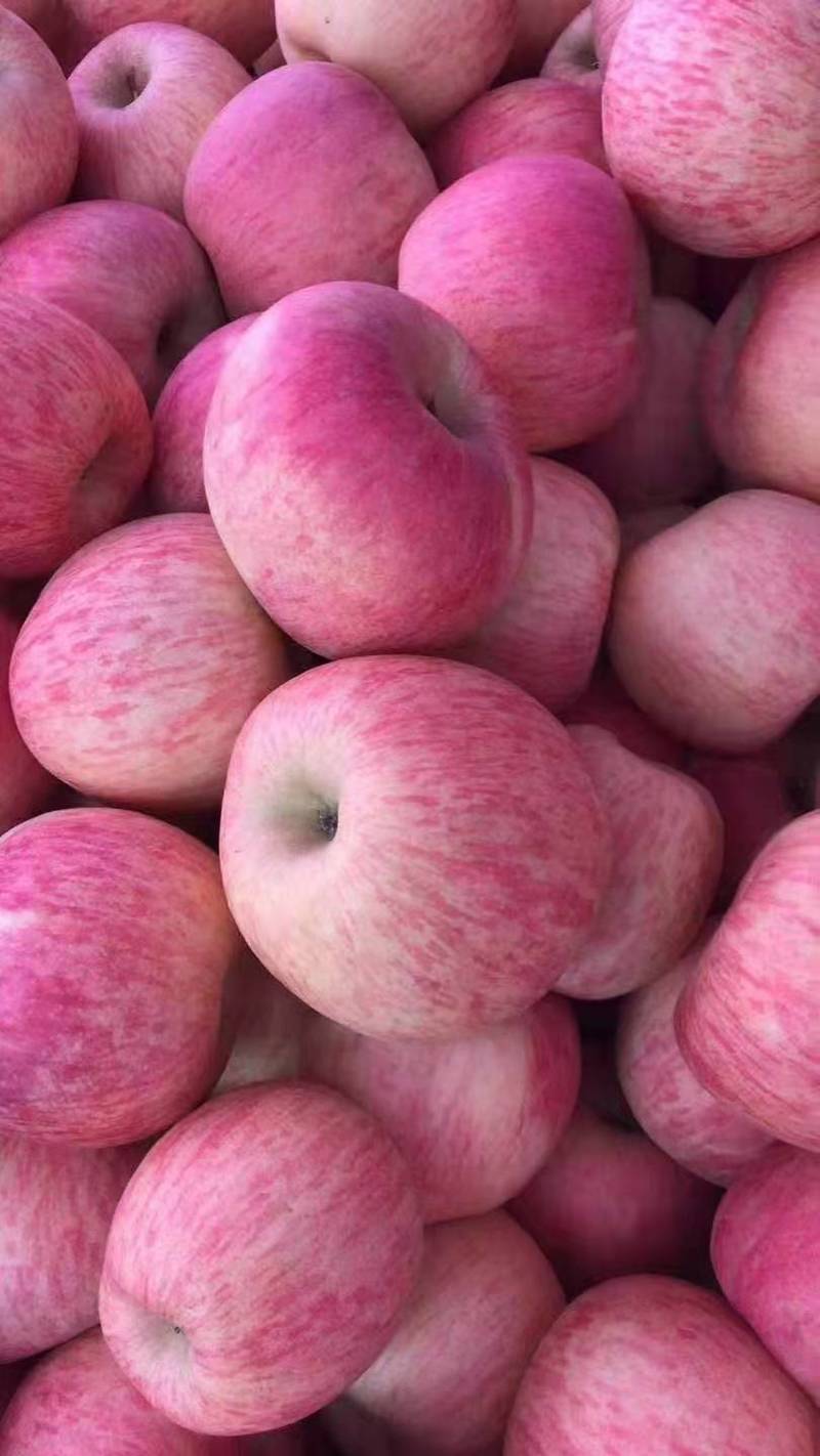 红富士苹果山东苹果产地批发，货源充足口感脆甜，量大从优