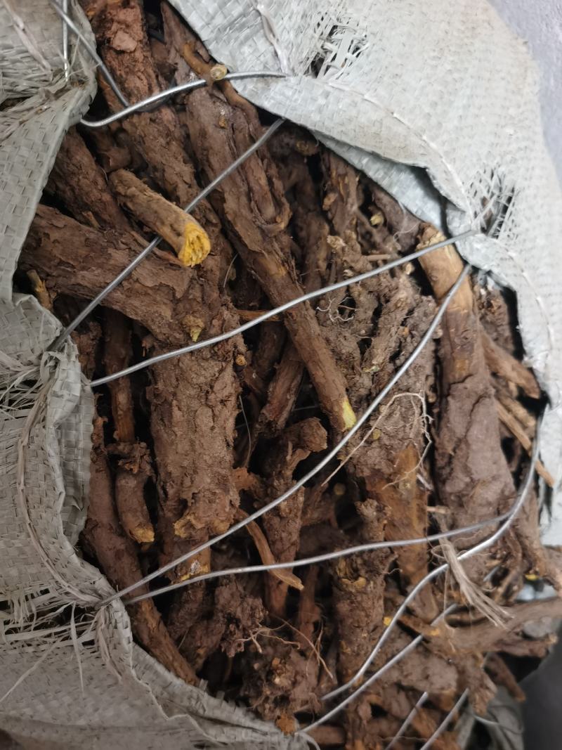 黄芩野生家种陕北内蒙地产