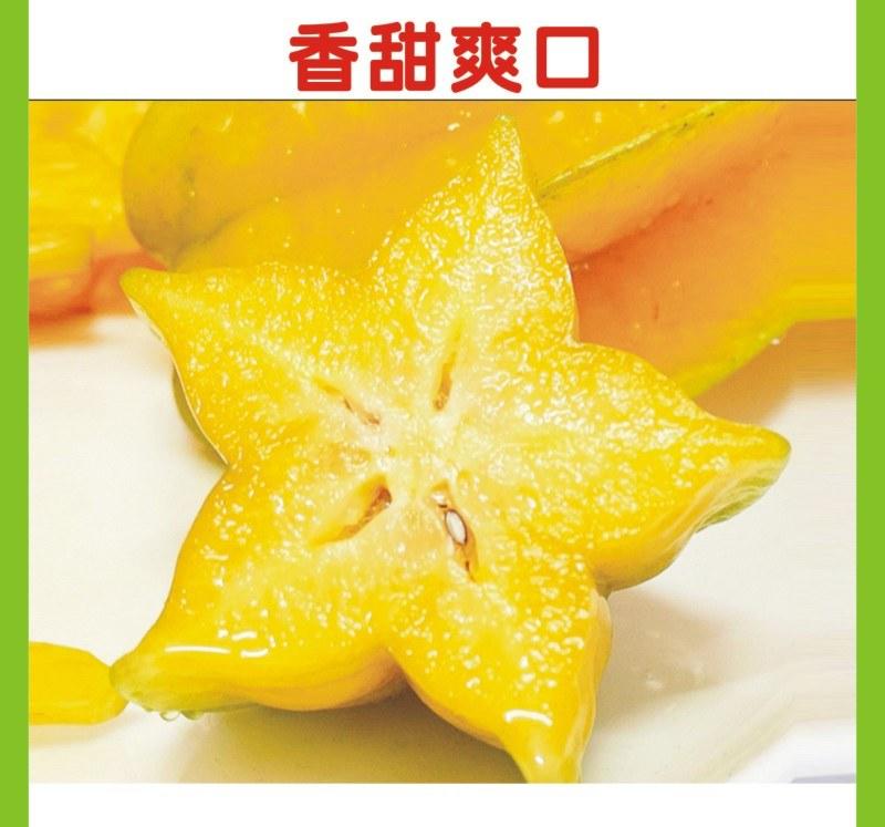 台湾杨桃水果多汁孕妇新鲜应季水果批发代发